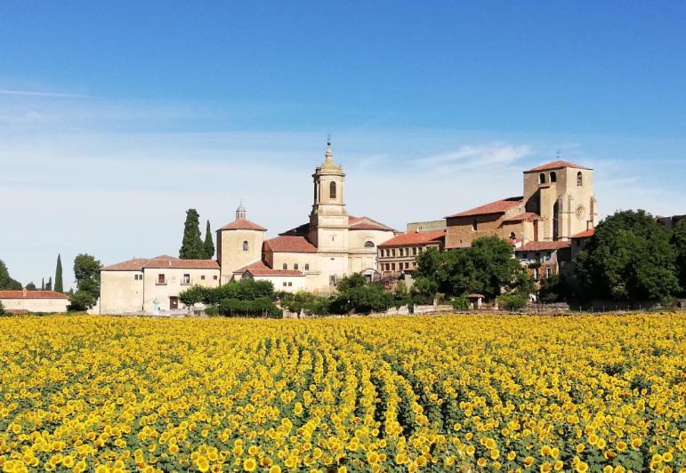 Casa Rural Las Condesas ซานโตโดมิงโก เด ซีลอส ภายนอก รูปภาพ